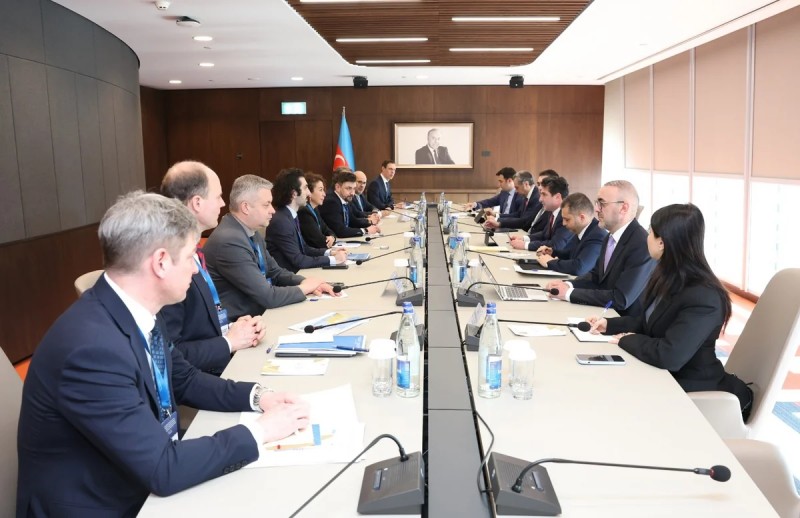 Almaniyalı iş adamları ilə investisiya imkanları müzakirə edildi