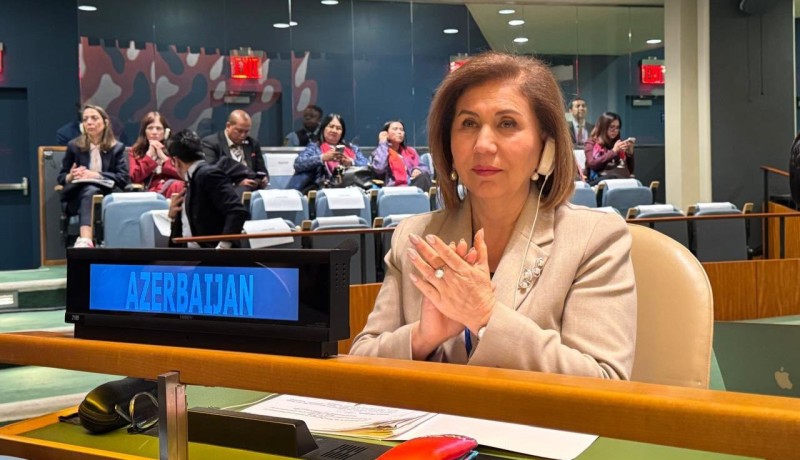 Bahar Muradova BMT-də TDT adından bəyanatla çıxış edib - FOTO