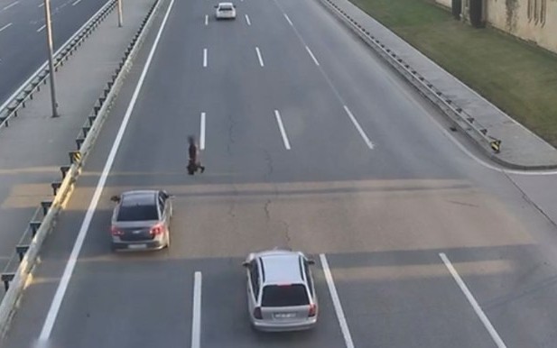 Yola qaçan qadını maşın vurdu - VİDEO