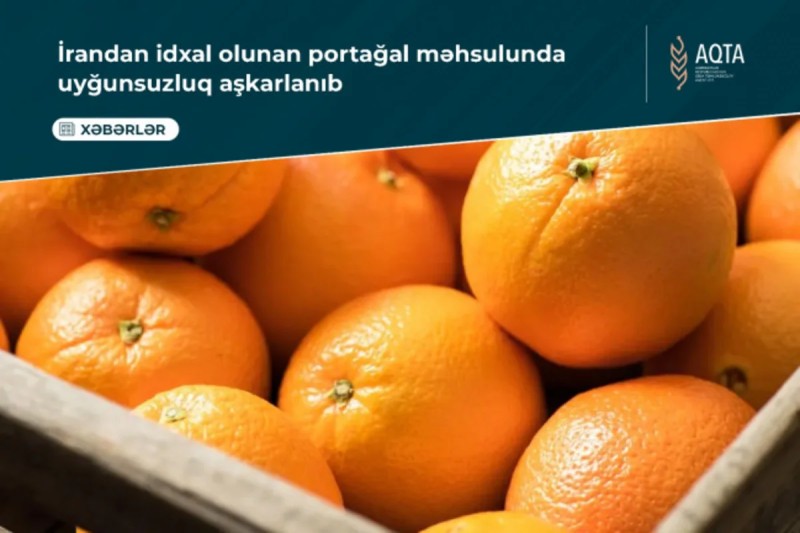 İrandan gətirilən portağalda rəngləyici maddə aşkarlandı