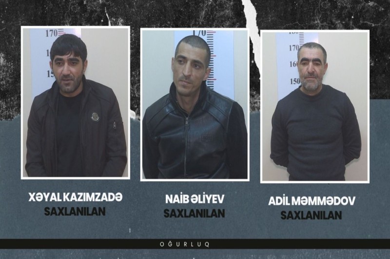 Antik əşyalar oğurlayan şəxslər saxlanıldılar - VİDEO