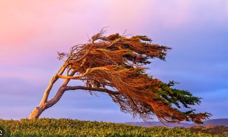 Sabah güclü külək əsəcək - PROQNOZ