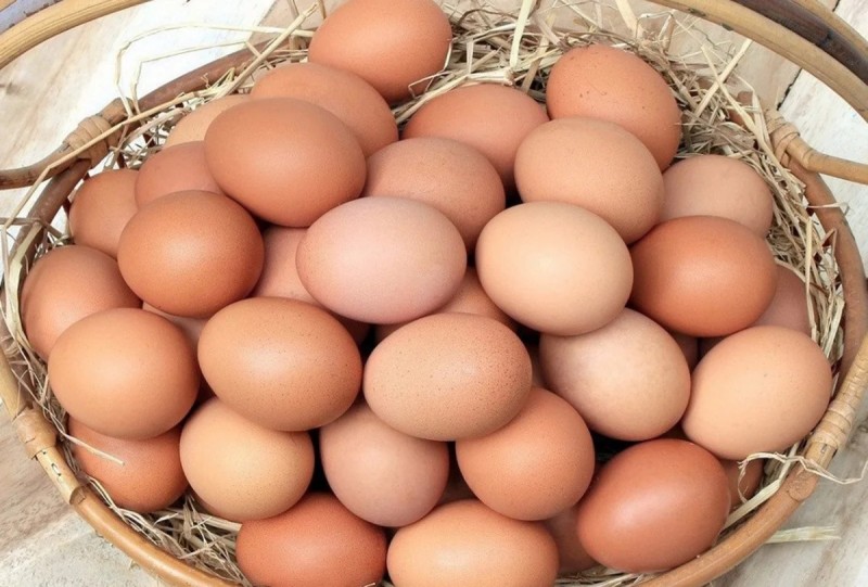 Azərbaycandan yumurta ixracı dayandırıldı