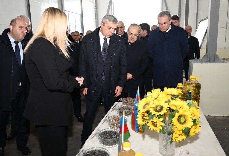 Qırmızı Bazar qəsəbəsində günəbaxan yağları zavoduna baxış keçirilib - FOTOLAR