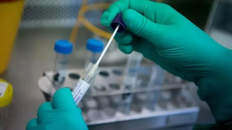 "H9N2" quş qripi virusuna ilk yoluxma halı İtaliyada aşkar edilib