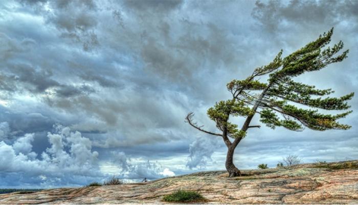 Küləkli hava şəraiti ilə bağlı XƏBƏRDARLIQ