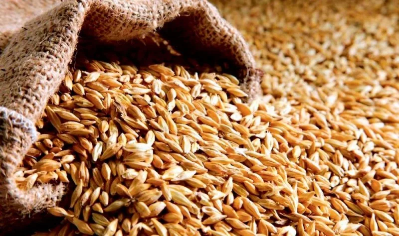 Rusiyadan buğda tədarükü kəskin artıb