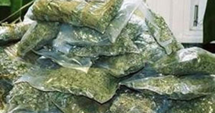 Qaçaqmalçılıq yolu ilə narkotik vasitələrin gətirilməsi: 44 fakt aşkarlandı