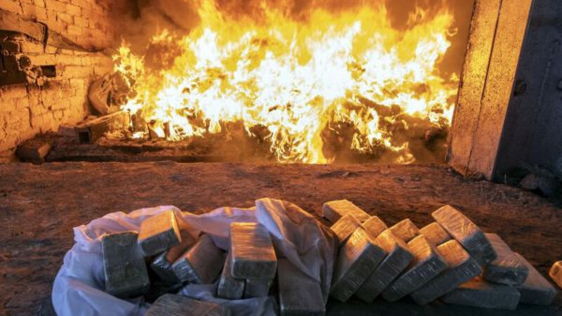 Göyçayda narkotik vasitələr məhv edildi