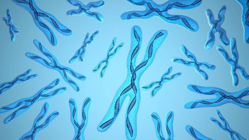 Turner sindromu nədir və necə aşkar olunur?