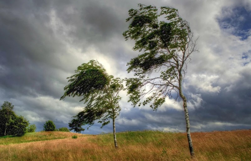Küləyin sürəti güclənir - FAKTİKİ HAVA