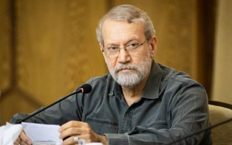 Laricaninin ölümü ilə bağlı ŞOK DETALLAR: Qardaşı danışdı...