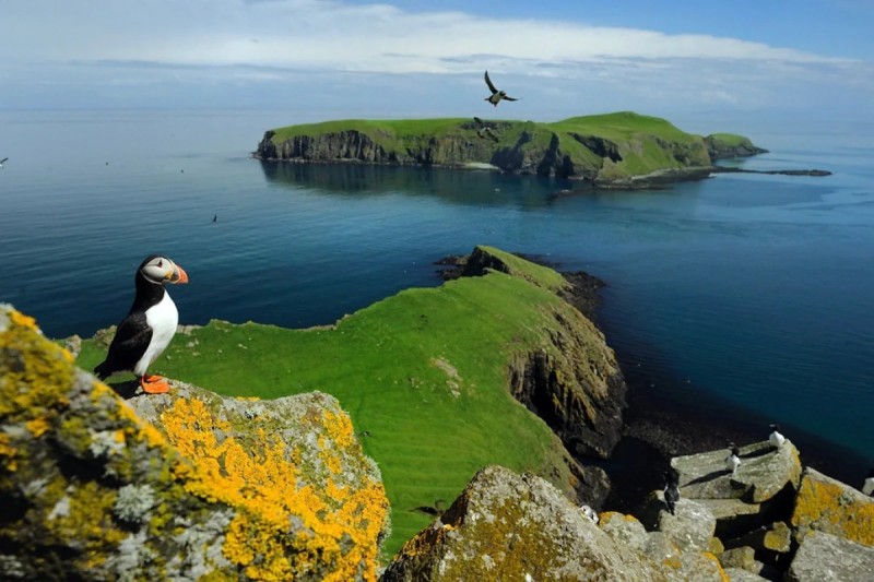 Argentina danışıqları bərpa etməyə çağırdı