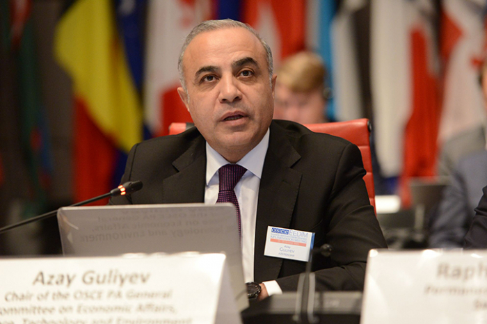 Azay Quliyev: Azərbaycanla bağlı əsassız iddialara yer verilir