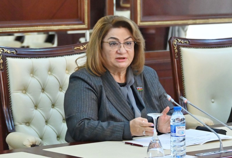 Hicran Hüseynova: Uşaqların maraqlı maksimum nəzərə alınmalıdır