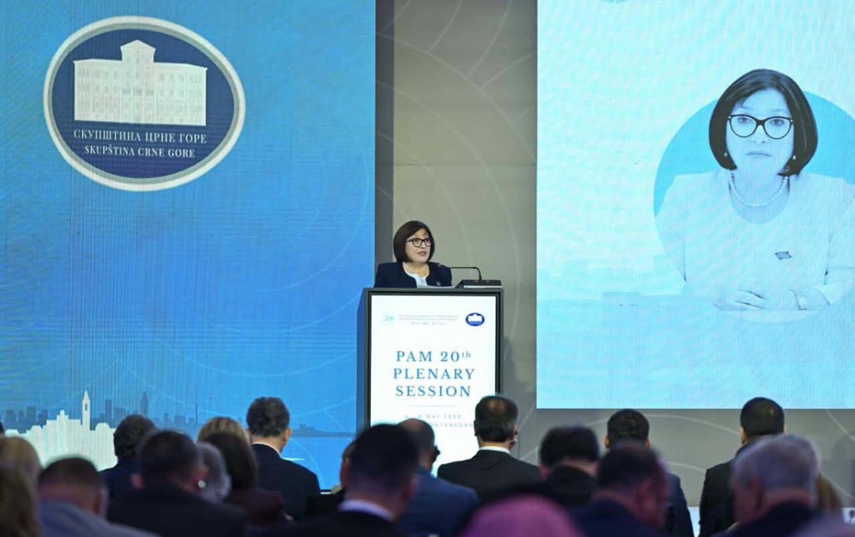 Sahibə Qafarova Sammitdə çıxış etdi - FOTOLAR
