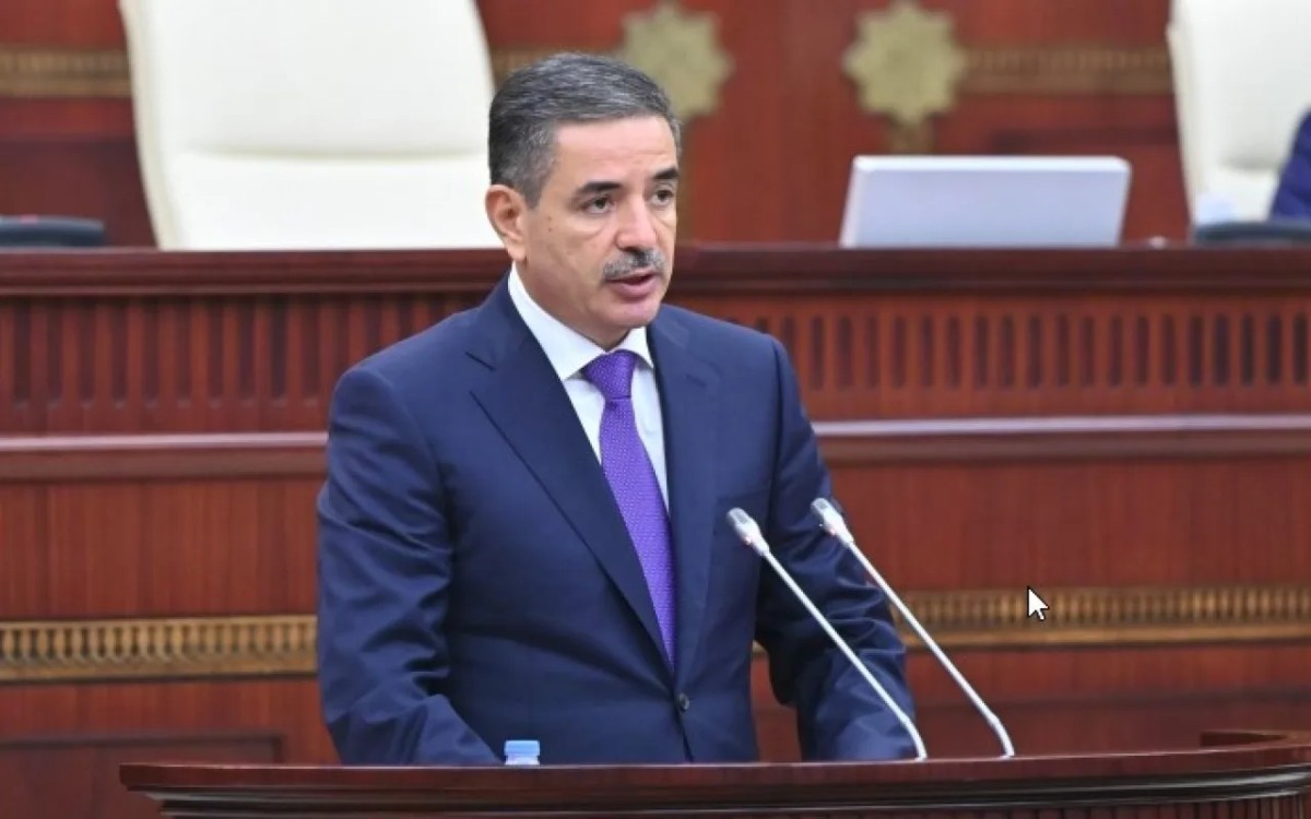 Daxili işlər nazirinin müavini Milli Məclisdə hesabat verdi