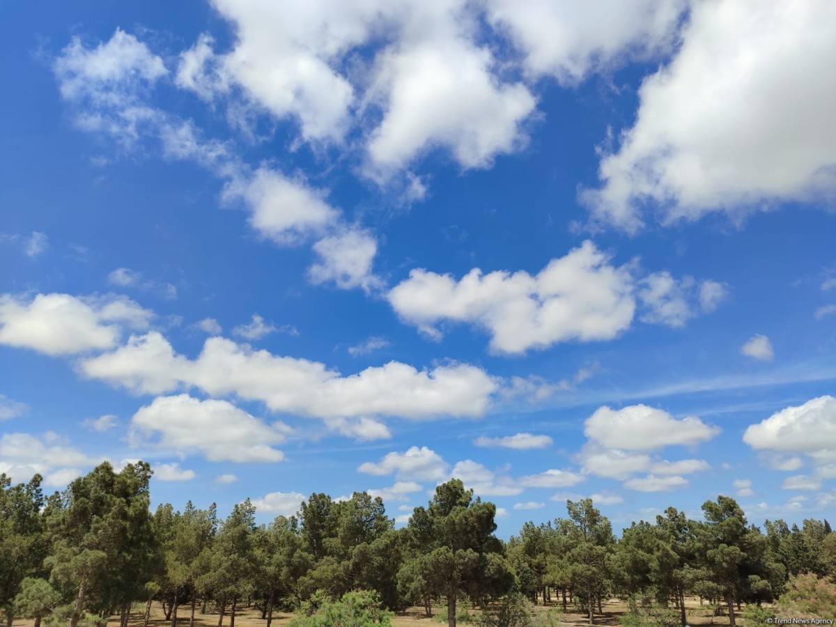 Qarşıdakı həftənin HAVASI