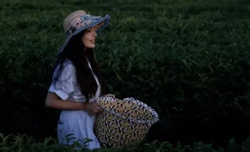 Leyla Əliyeva “Yaşıl çay” fermer təsərrüfatında - FOTOLAR
