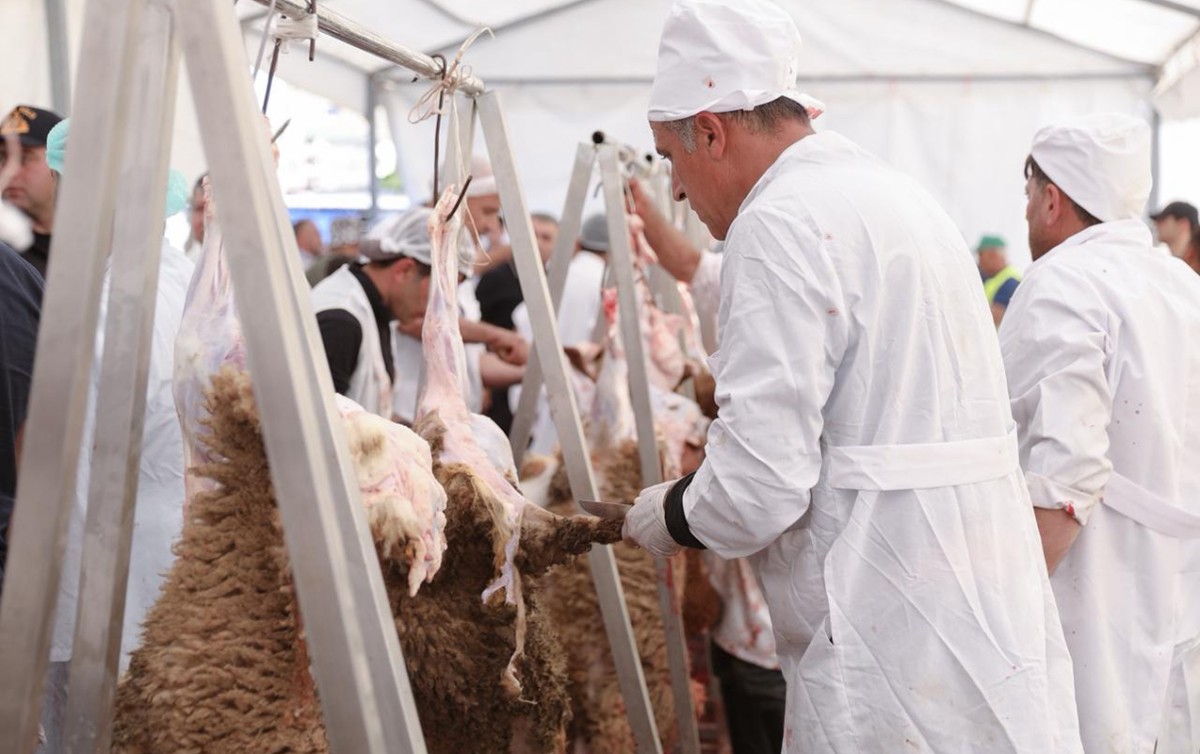 Qurbanlıqları bu ünvanlardan ala bilərsiniz - SİYAHI