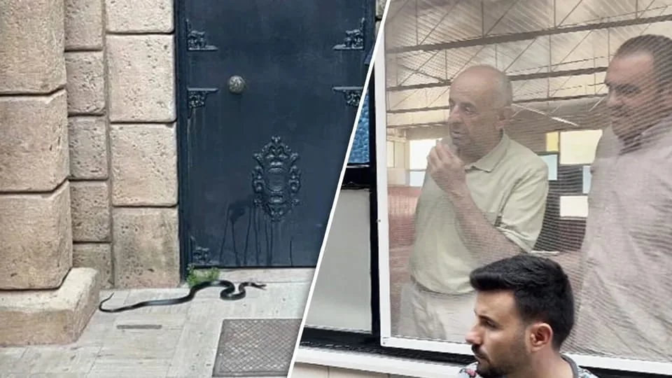 Məsciddə ilan təşvişi: Oyuncaq zənn etdilər, amma...