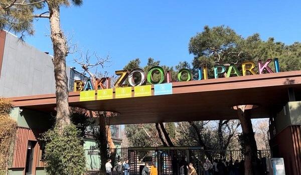 Bu qurum 350 min manatlıq siçan aldı