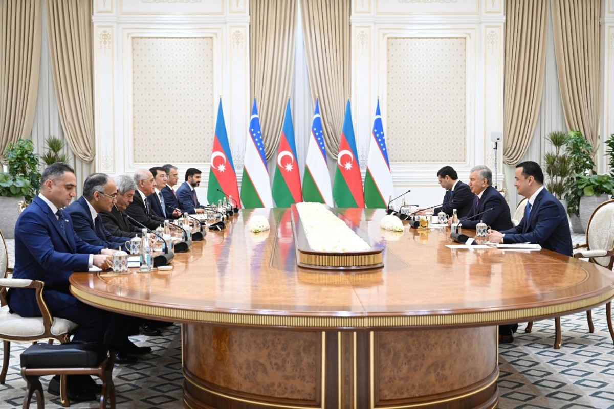 Əli Əsədov Özbəkistan Prezidenti ilə görüşüb