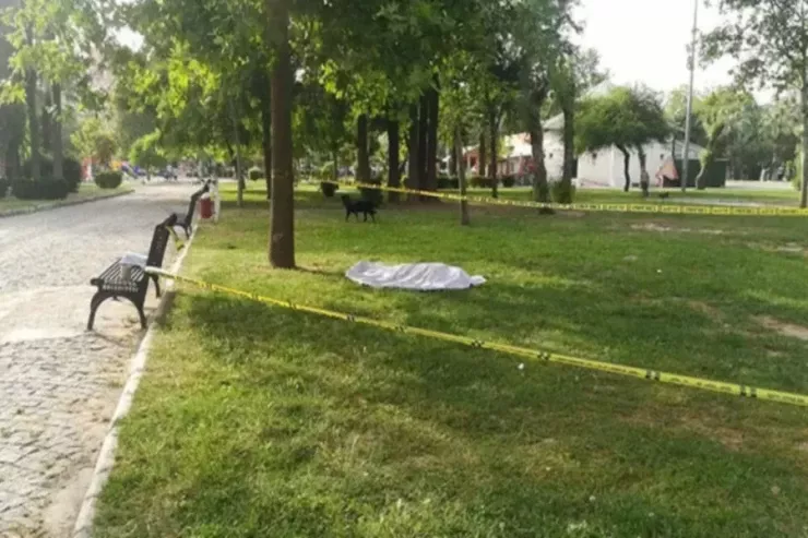 Bakıda Milli Parkın ərazisində meyit tapıldı