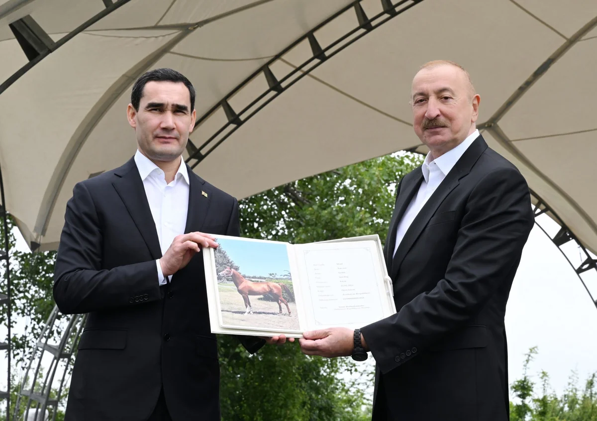Türkmənistan Prezidentinə Qarabağ atı hədiyyə edilib