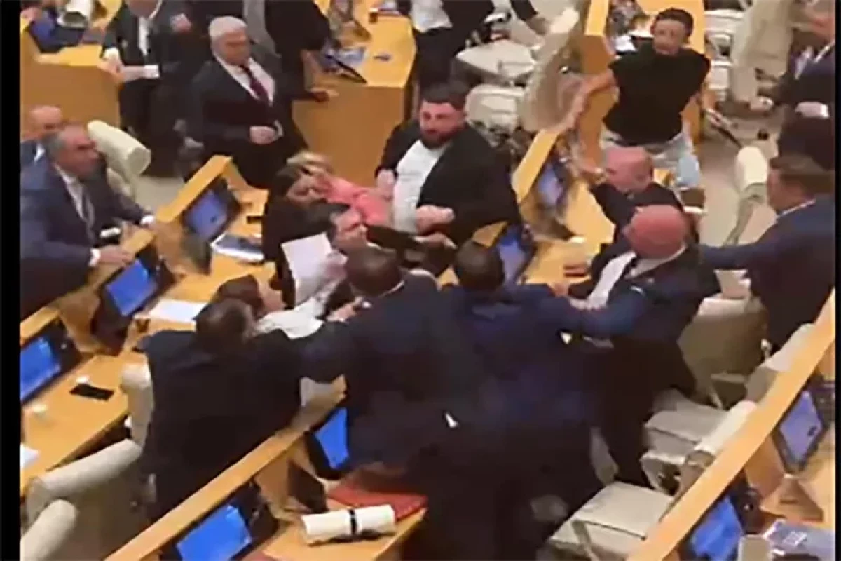 Gürcüstan parlamentinin iclasında dava düşüb - FOTO