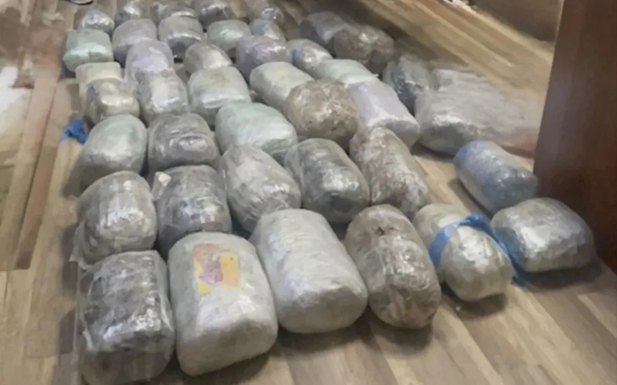 Bir gündə 34 kiloqramdan çox narkotik aşkarlanı
