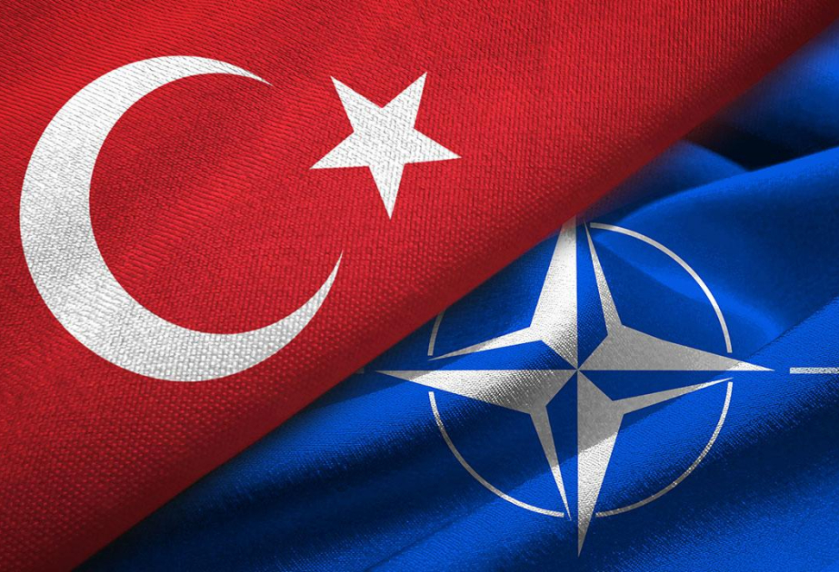 Ankara sammiti: NATO hansı yolu seçəcək?