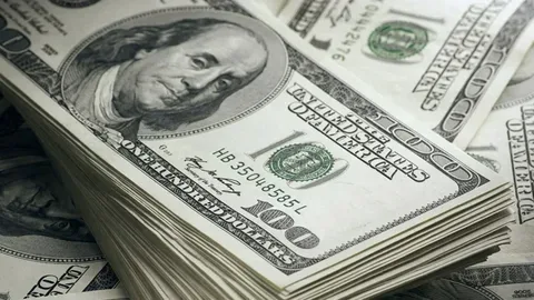 Bu gün dollar neçəyədir?