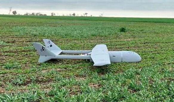 Türkiyədə Ukrayna dronu ağaca çırpıldı