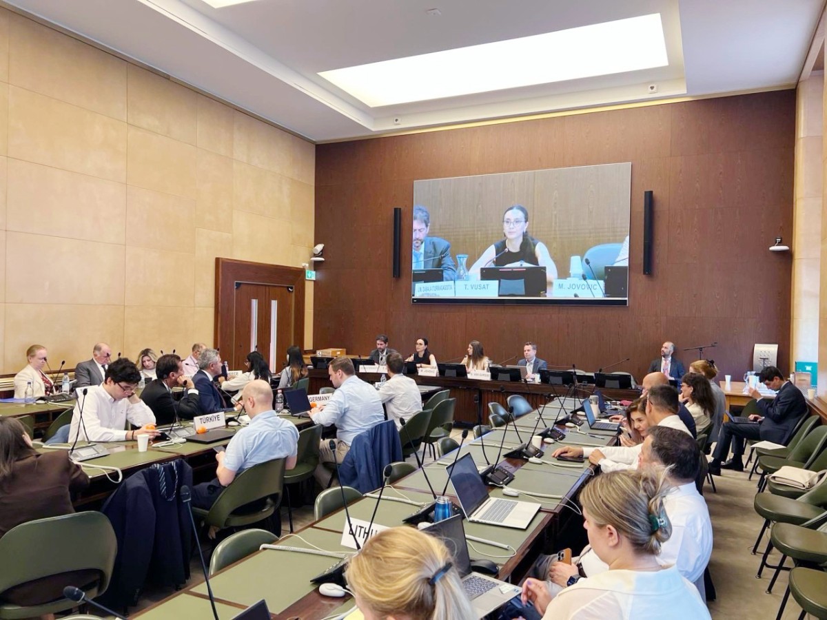 Azərbaycan UNECE-nin Komitə Bürosunun rəhbər heyətinə seçildi