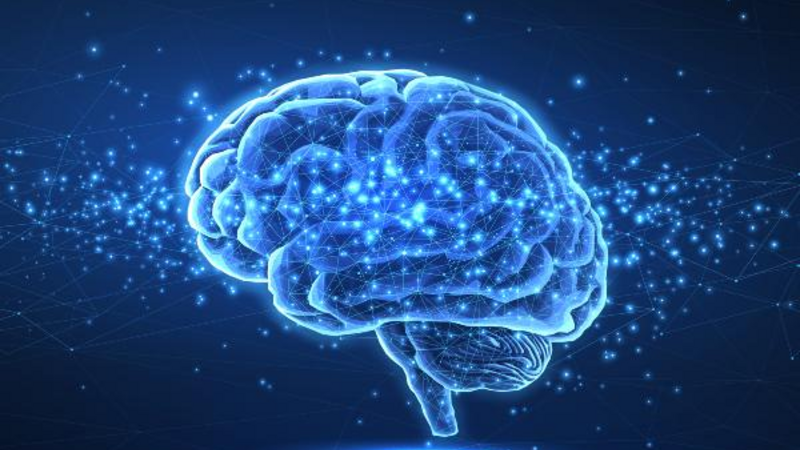 İnsan beynini real vaxt rejimində modelləşdirən çip yaradıldı