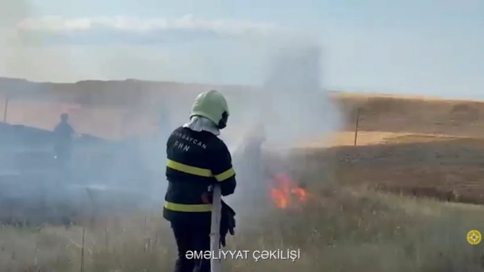 Qazaxın Aslanlı kəndində taxıl sahəsində yanğın oldu - VİDEO