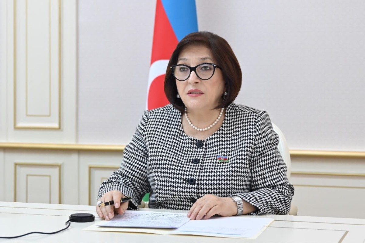 Sahibə Qafarova Ermənistanın işğalı nəticəsində ətraf mühitə vurulan ziyandan danışdı