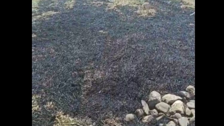 Yanğın törədən şəxs cəzalandırıldı