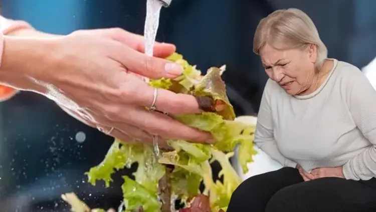 Siklospora paraziti xəbərdarlığı: Yoluxma sayı artır