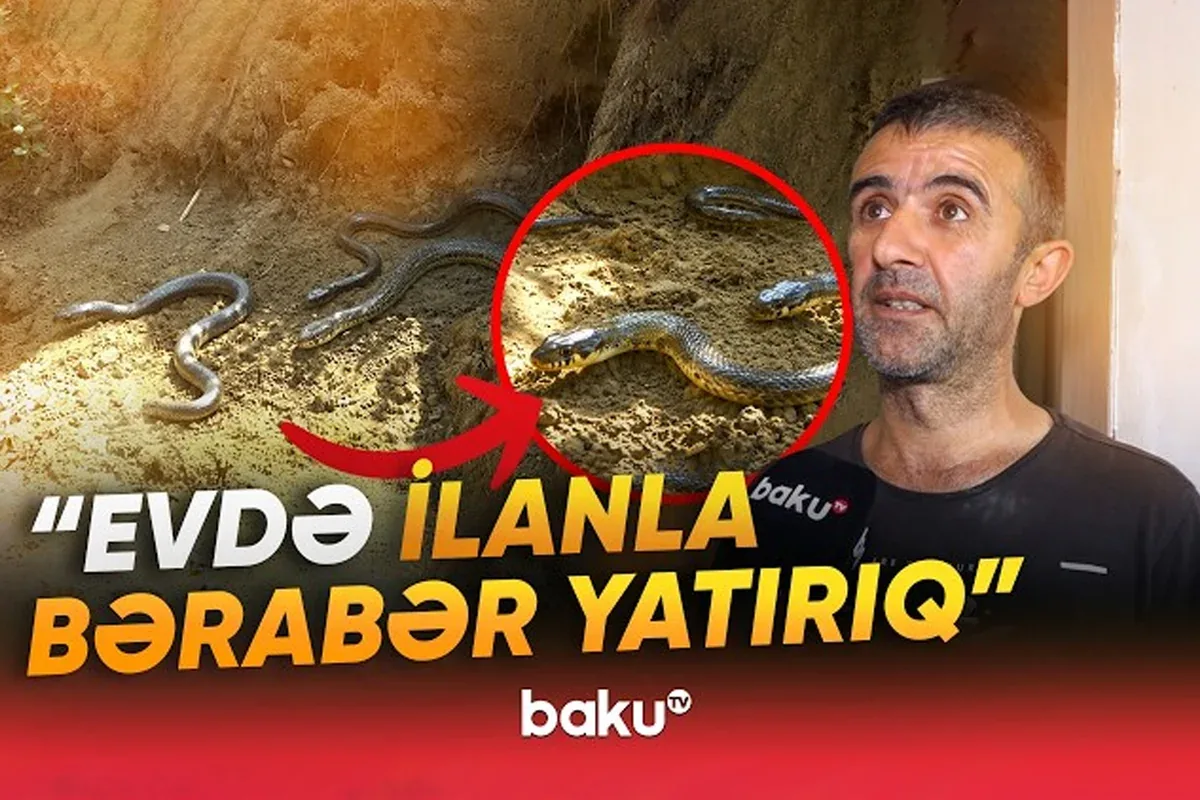 Binəqədidə torpaq sürüşməsindən sonra evlər qəzalı vəziyyətdə - VİDEO