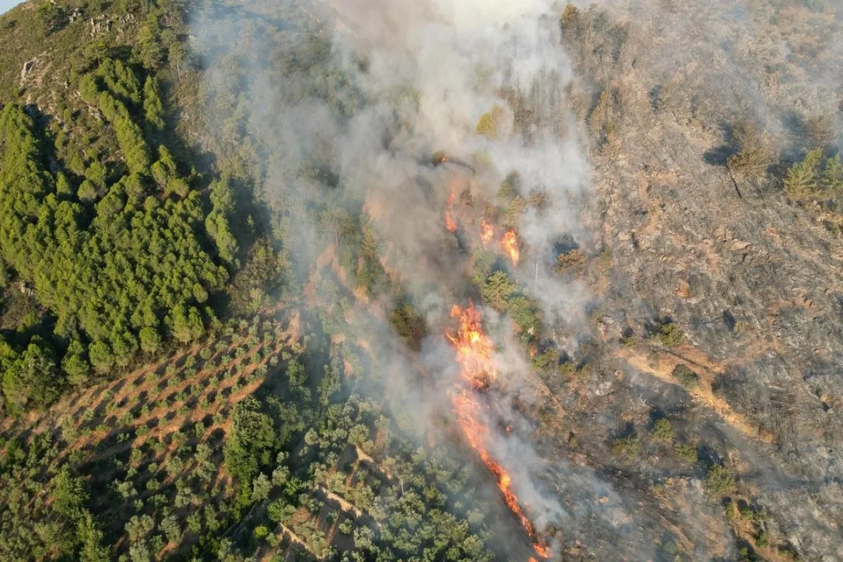 Antalya 2 gündür yanır