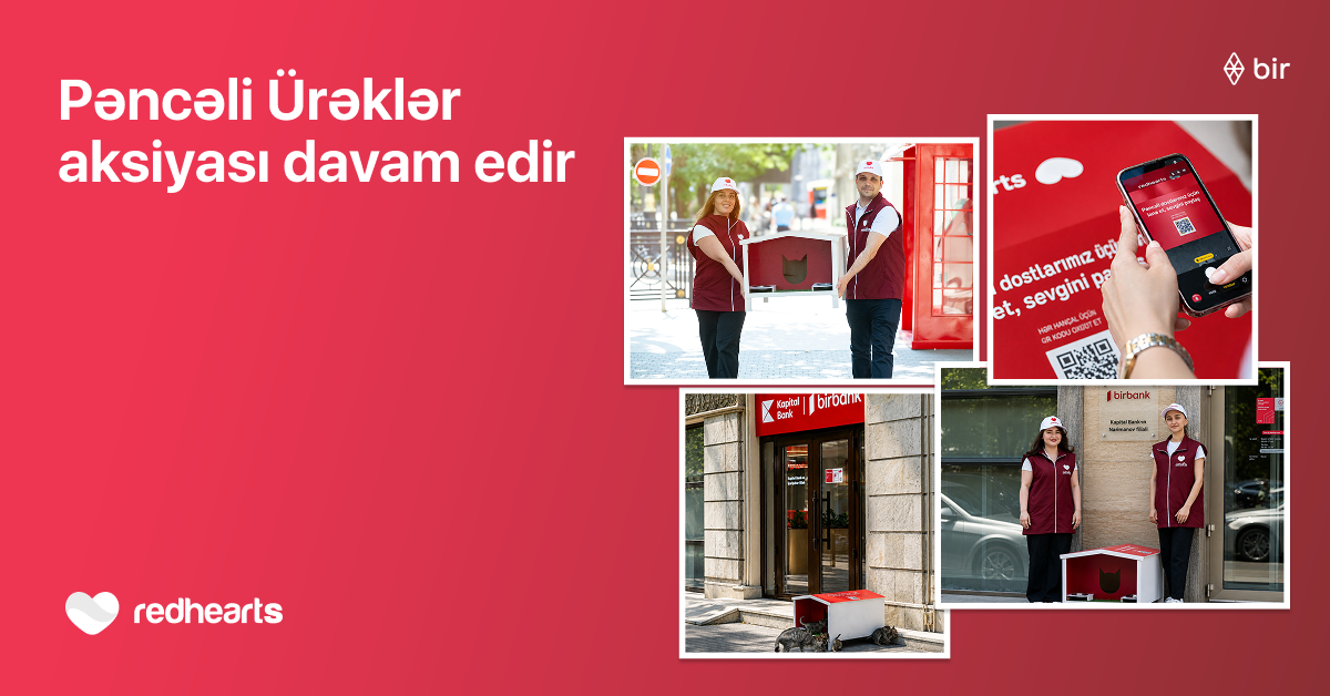 “Pəncəli Ürəklər” aksiyası çərçivəsində sahibsiz heyvanlar üçün yuvaların sayı 35-ə çatdı