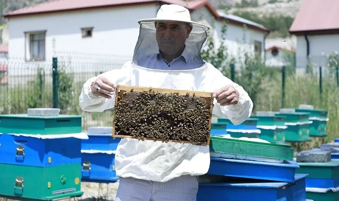 Laçında kiçik təsərrüfatlara mediatur təşkil edildi