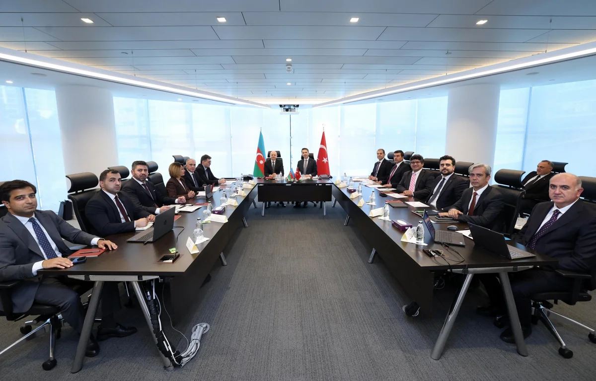 Azərbaycan və Türkiyə enerji layihələrinin icrasını sürətləndirmək barədə razılığa gəlib