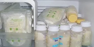 Ana südünü soyuducuda və dondurucuda nə qədər saxlamaq olar?