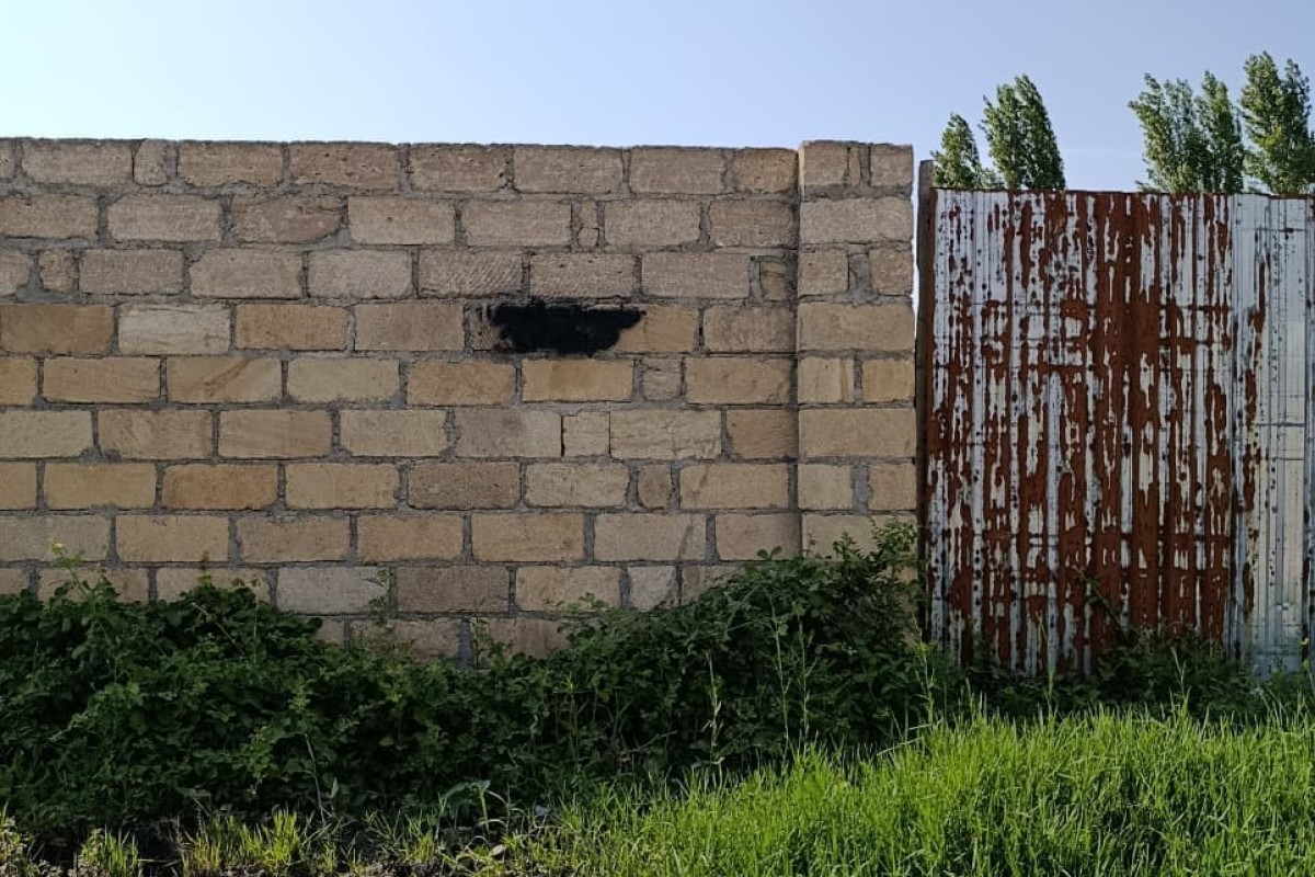 Narkotik vasitələri təbliğ edən yazılar yazan şəxslər saxlanıldı