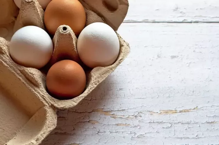 Hər gün yumurta yeməyin təhlükəsi: alimlər nə tapdılar?