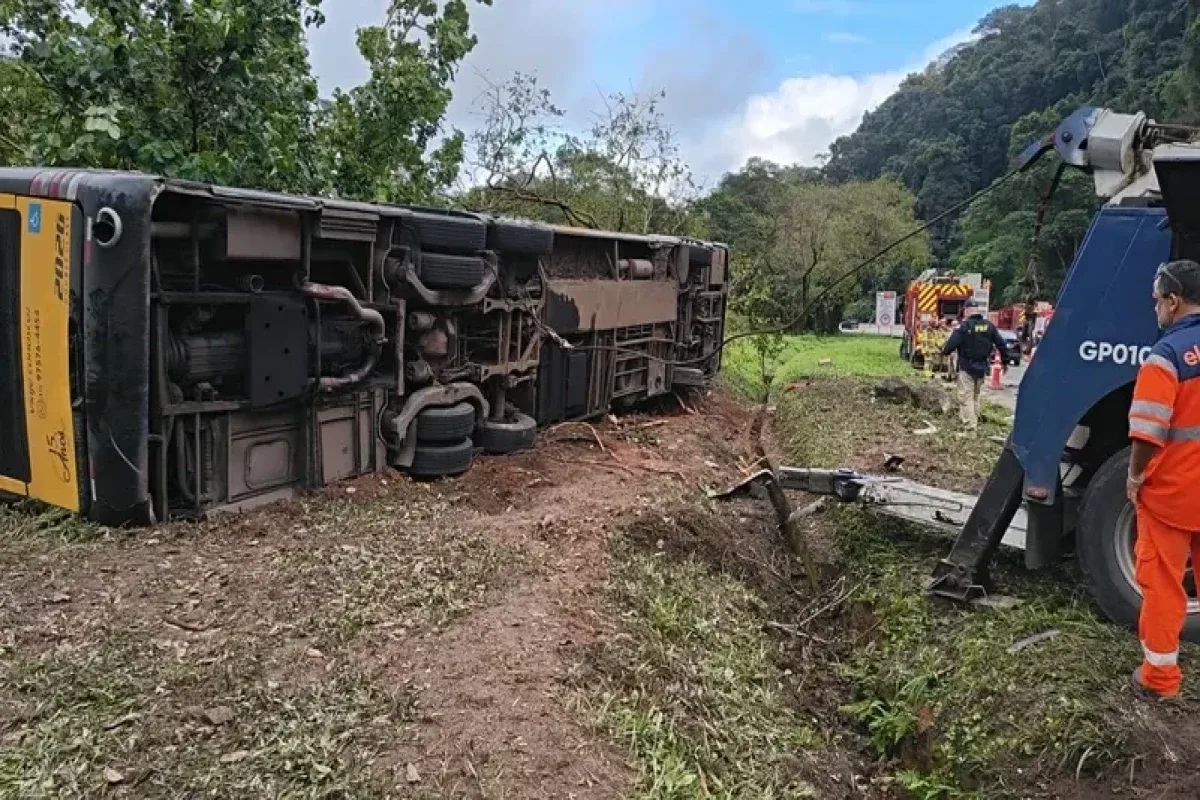 Braziliyada sərnişin avtobusu ilə yük maşını toqquşdu: 23 ölü