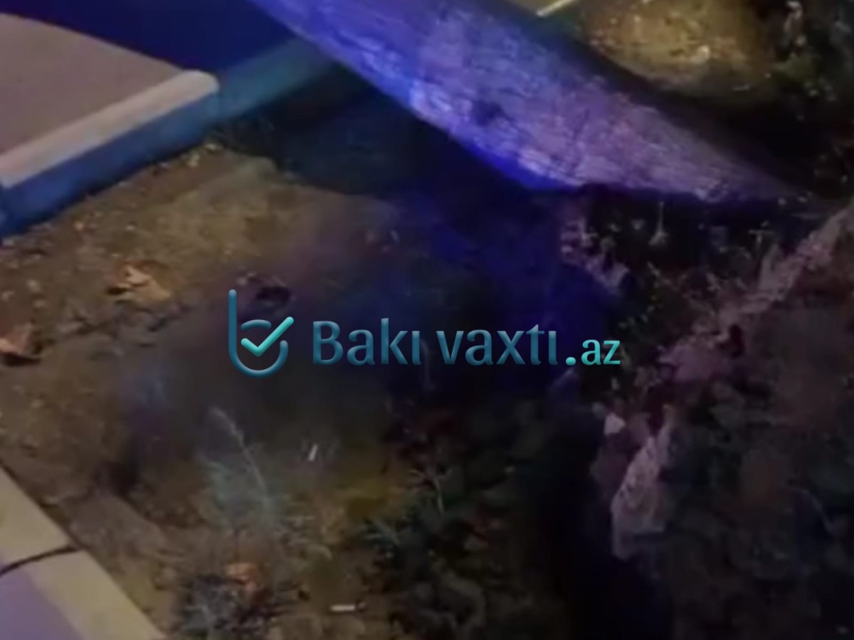Ağac aşdı, yol bağlandı - VİDEO